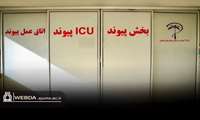 قهرمانی که پس از خود نور پاشید